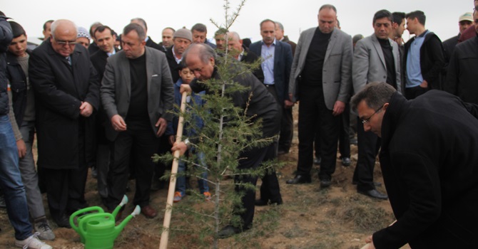 Çorum’da 18 Bin Fidan Toprakla Buluştu