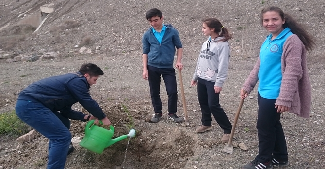 Fen Lisesi Öğrencileri Fidan Dikti
