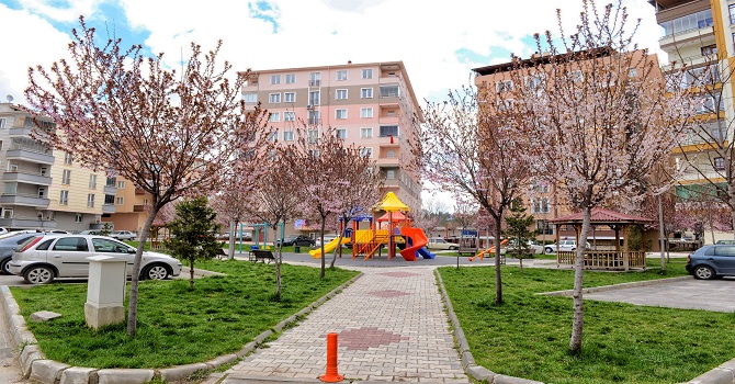 Çorum, Çiçek Açtı