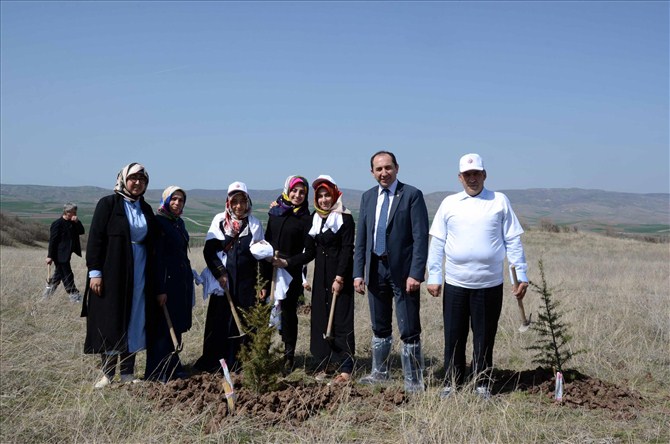 Üniversite Ağaç Dikti