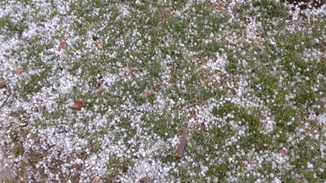 Dodurga’da Mevye Ağaçlarını Dolu Vurdu