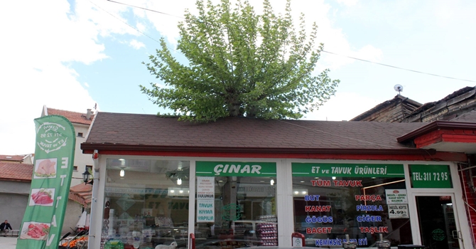 Bu İşyerini Gören Şaşırıyor