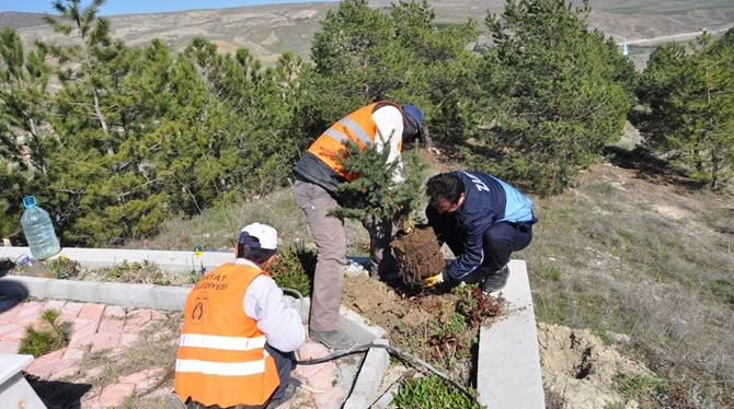Bayat Belediyesinde Bahar Temizliği