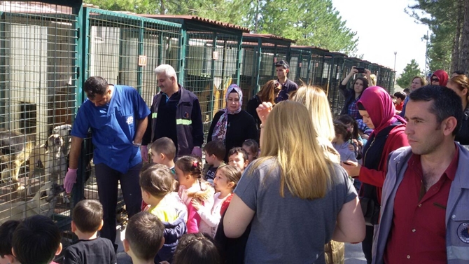 Miniklerin Hayvan Sevgisi