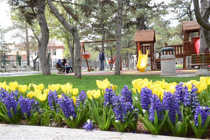 Çorum ‘Lale” Açtı