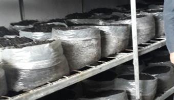 Kursiyerler Mantar Tesislerini Gezdi