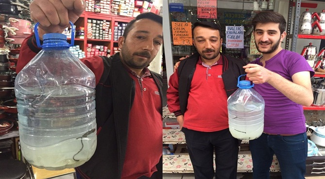 ‘Sülük Tedavisi Uzmanlar Kontrolünden Yapılmalı’