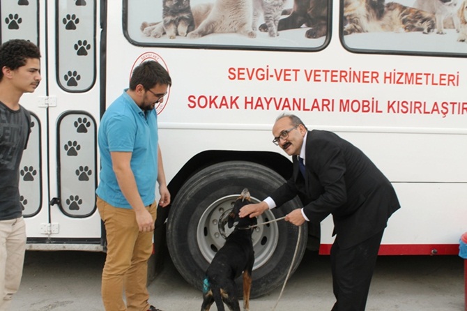Kargı Belediyesi Sokak Hayvanlarına Sahip Çıktı