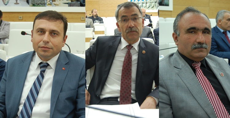 Sarüce, Çatalpelit Ve Bolat İl Encümeni Seçildi