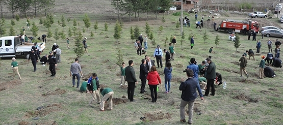 171.Yıl Hatırasına Orman Oluşturuldu