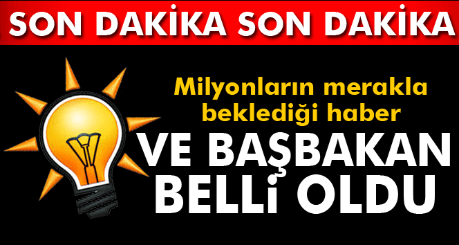 Yeni Başbakan Binali Yıldırım