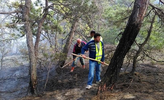 Çorum’da Orman Yangını
