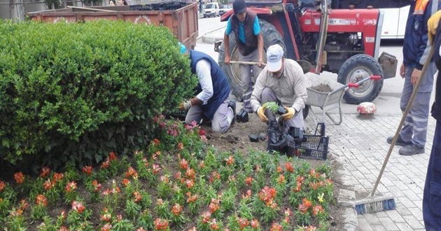 Sungurlu Çiçeklerle Donatılıyor