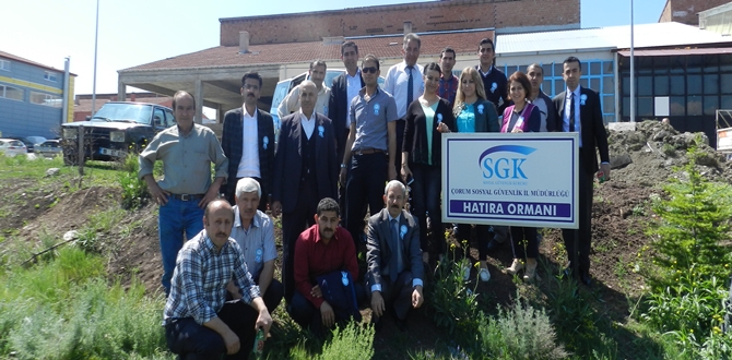 SGİM Personeli Hem Ağaç Dikti, Hem Piknik Yaptı