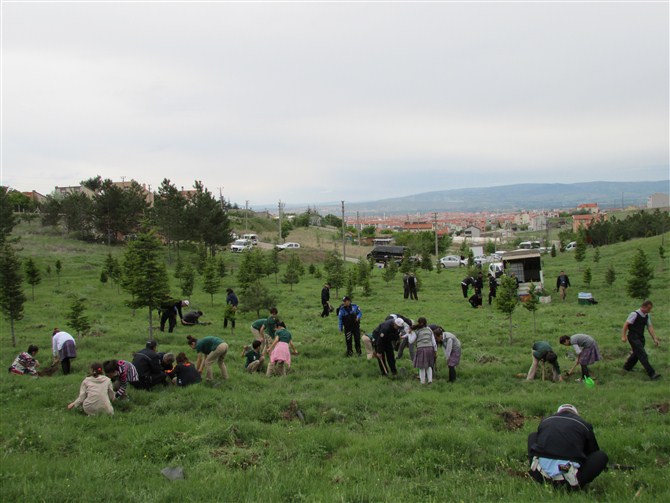 Öğrenci ve Polisler Fidan Dikti