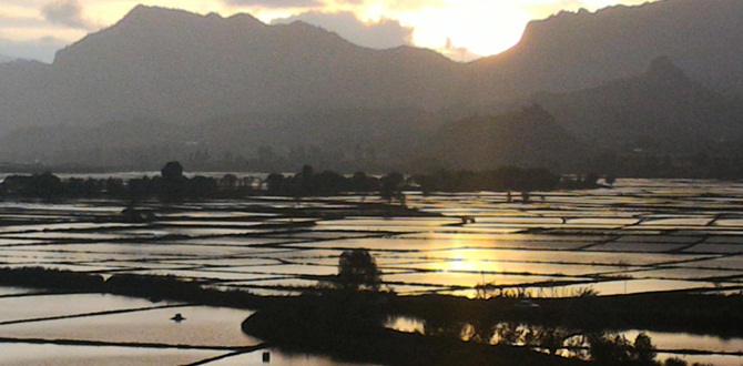 Osmancık’ta Görsel Şölen