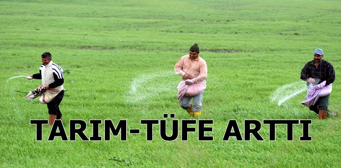 Tarım-ÜFE Mayıs Ayında Arttı