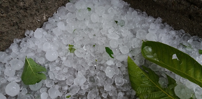 Osmancık’ta Dolu Yağışı