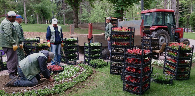 Çorum Çiçek Açacak