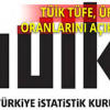 Yurt içi Fiyat Endeksi Arttı