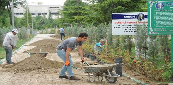 Mezarlıklar Gül ve Çiçeklerle Donatılıyor
