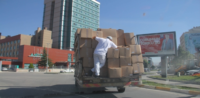 Kelle Koltukta Tehlikeli Yolculuk