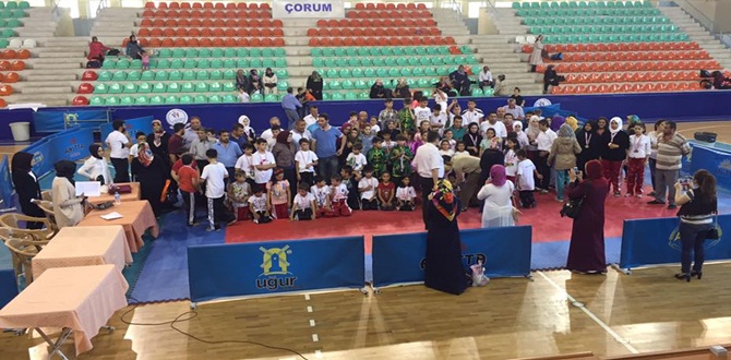 Wushu Qinda –Taolu Müsabakaları Yapıldı