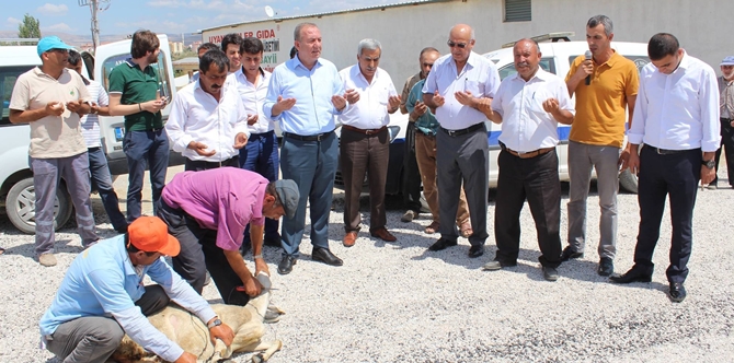 30 Yıl Sonra Gelen Asfalt İçin Kurban Kestiler