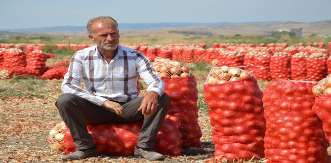 Çorum’lu Çiftçinin Azmi Herkese Örnek Olmalı!