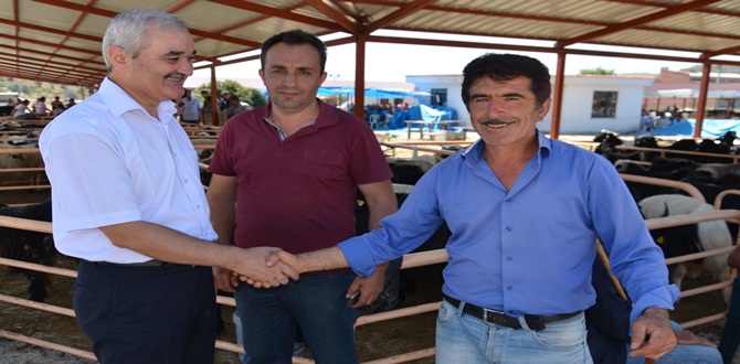 Başkan Karataş, Hayvan Pazarını Gezdi