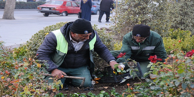 900 Bin Çiçek Dikildi
