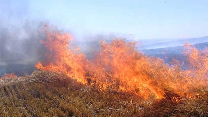 Mecitözü’nde Yangın
