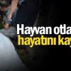 Çoban Ölü Bulundu