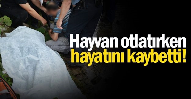 Çoban Ölü Bulundu