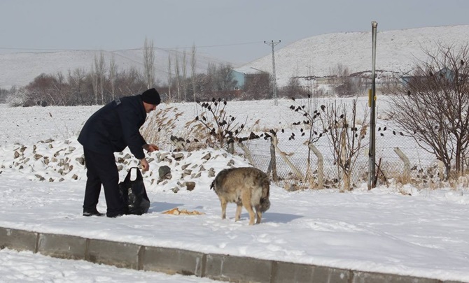 Hayvanlar İçin Doğaya Yem Bırakıldı