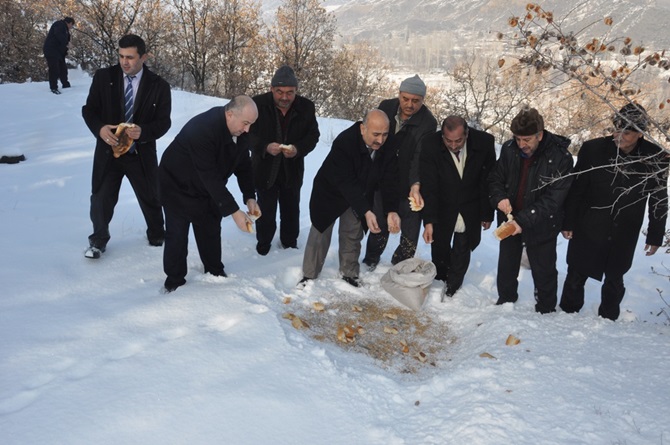 Bayat Belediyesi Doğaya Yem Bıraktı