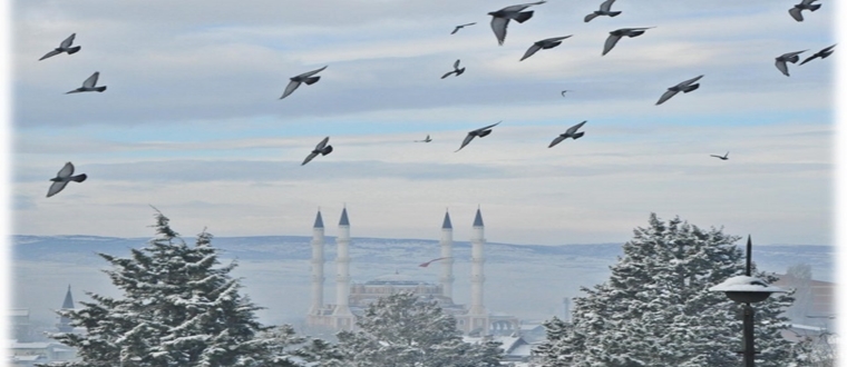 Kış Bakışı Konulu Fotoğraf Yarışması Sona Erdi