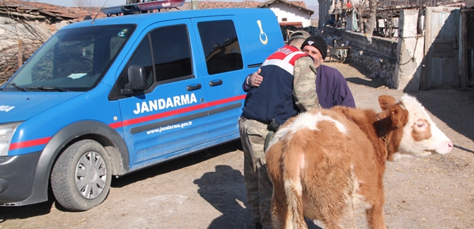 Çorum’dan Çalınan Hayvanlar Bulundu