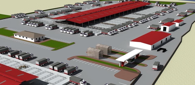 Yeni Hayvan Pazarı Heyecanı