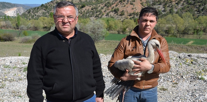 Tedavi Edilen Leylek Doğaya Bırakıldı
