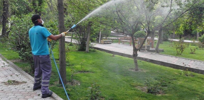 Haşare ile Mücadele Başladı