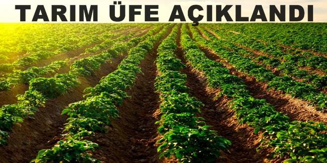 Tarım- ÜFE Ağustos ayında %1,91 Arttı