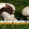 Dodurga’da Mantardan 3 Kişi Zehirlendi