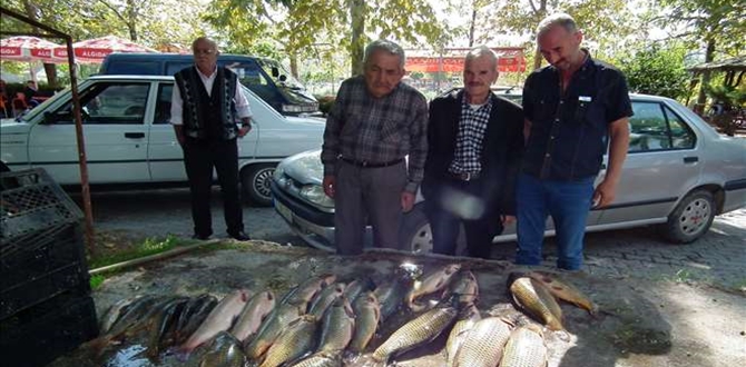 Kızılırmak’ta Balık Bolluğu Yaşanıyor