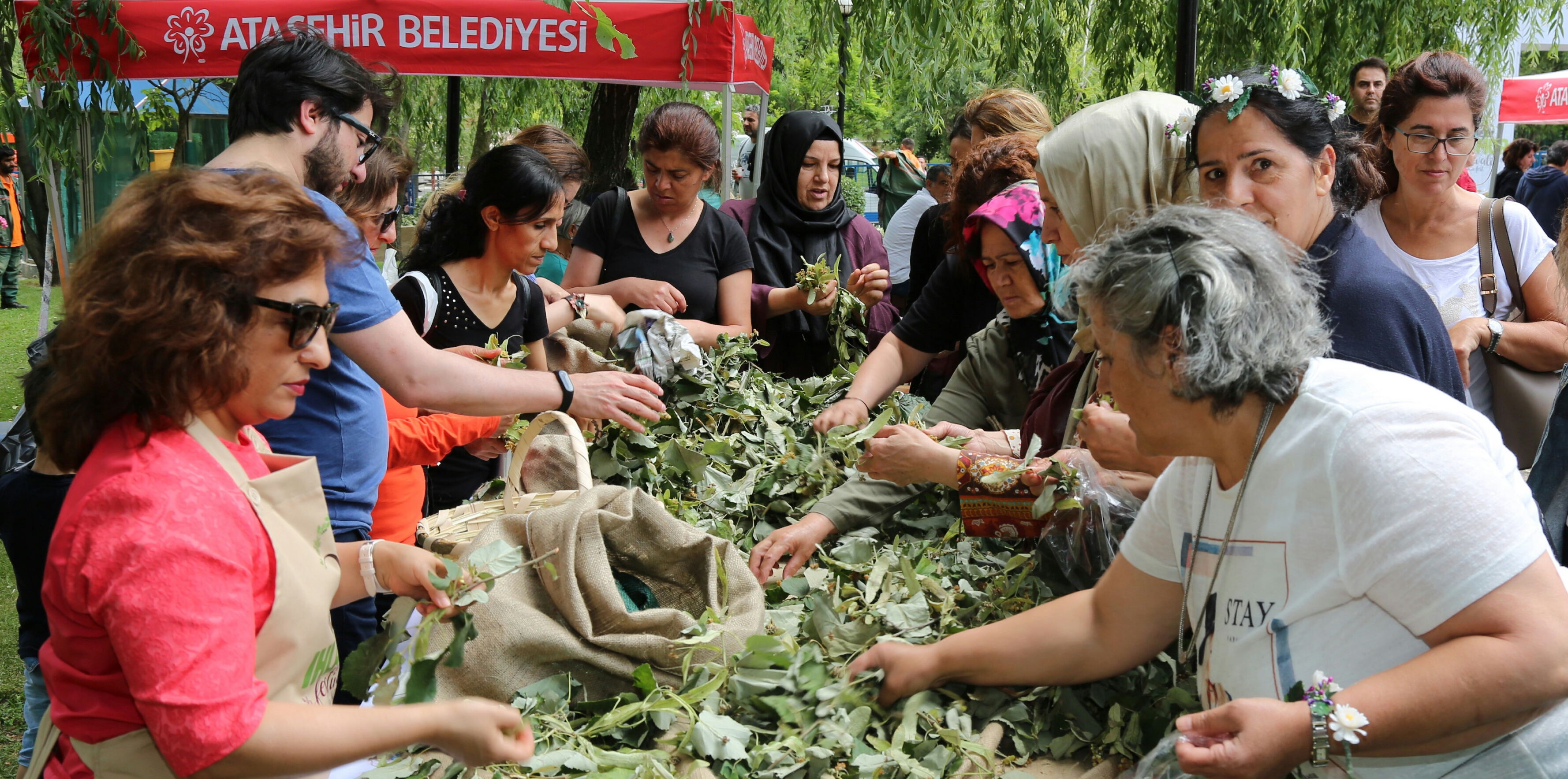 Çorum’un Isırgan Otu Festivalde