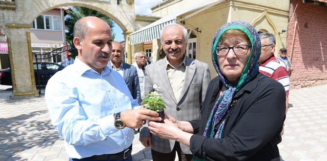 Mezarlıklarda 22 Bin Çiçek Dağıtılacak