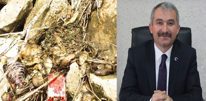 Derinçay Islahı Ne Zaman Çözüme Kavuşacak?