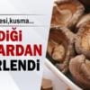 Yediği Mantardan Zehirlendi