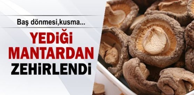 Yediği Mantardan Zehirlendi