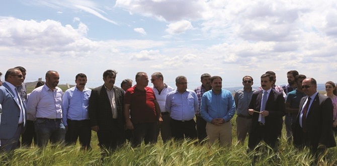 Çorum’da Tarla Günü Düzenlendi